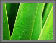 4:3 ratio explained , projector hire help , projector screen hire help , how to build a projector screen , 