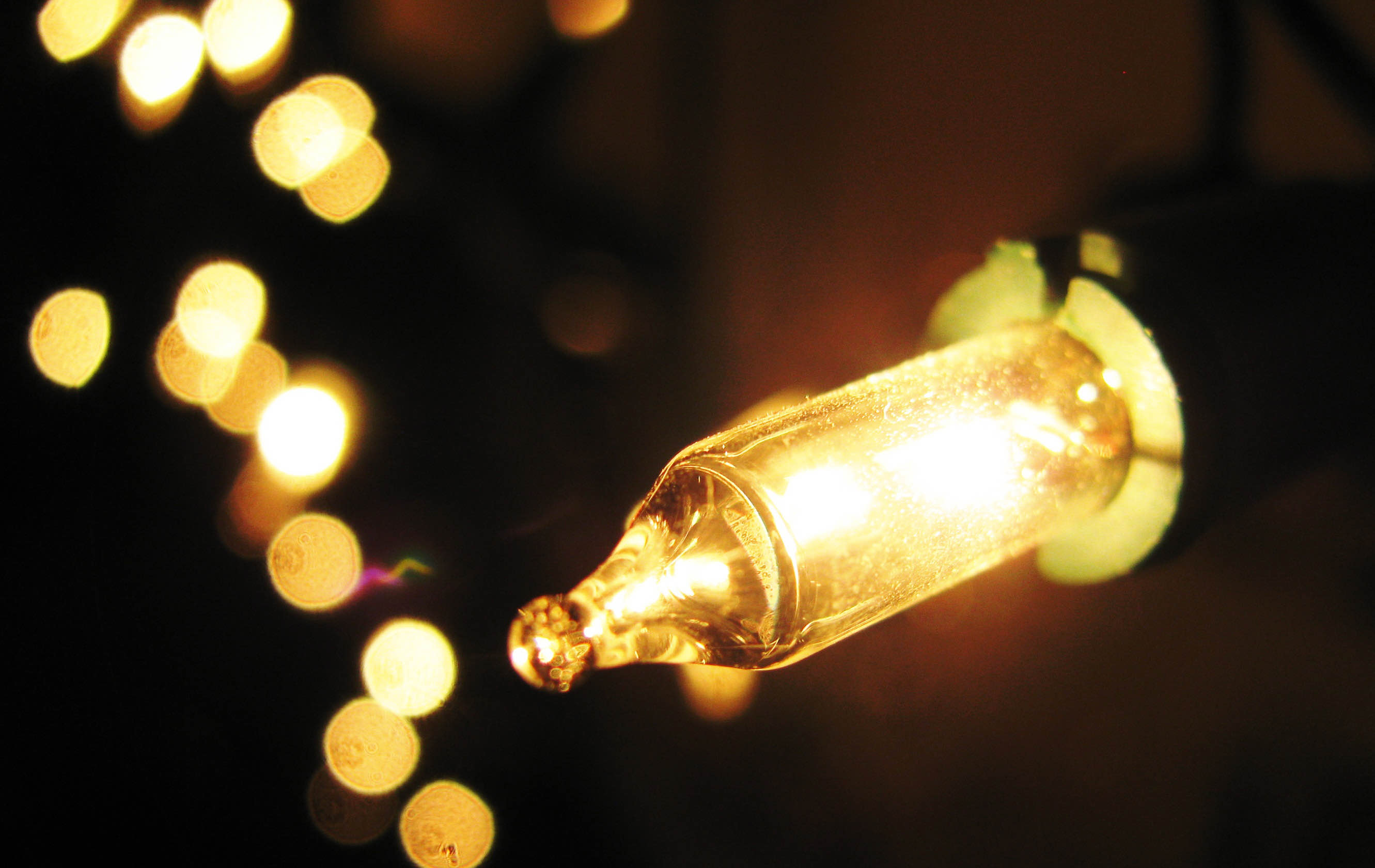 fairy light hire , fairy lights hire , lighting hire, wedding fairy lights ,