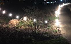 festoon hire , lighting hire , wedding lighting hire , wedding lights , fairy lights hire , outdoor lighting hire , 